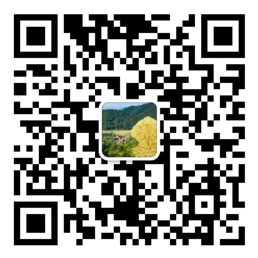 易彩堂首页